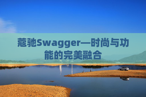 蔻驰Swagger—时尚与功能的完美融合 蔻驰Swagger—时尚与功能的完美融合